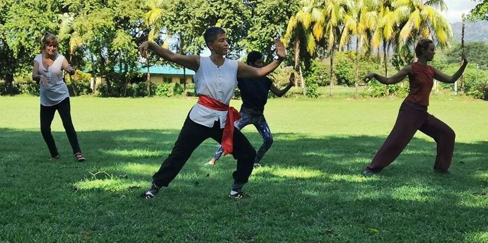 Tai Chi the supreme art