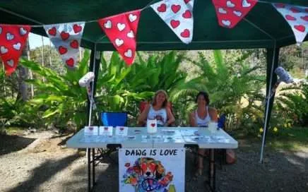 DAWG Fundraiser (1) (1)