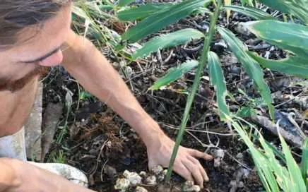 Tinamastes, Tres Brujas, three witches real food for real people