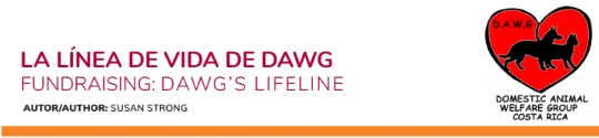 Dawg fundraising