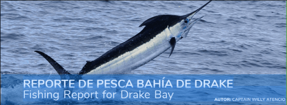reporte de pescas
