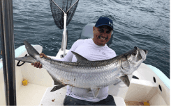 reporte de pescas