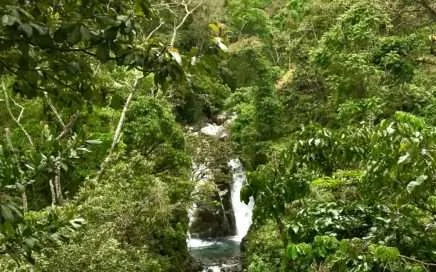 Mystic Mountains, montañas nebulosas