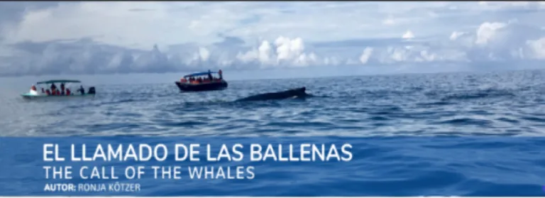 la llamada de las ballenas