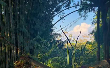 Cascada Verde Hostel Uvita. Enjoy Costa Rica’s jungle vibes!