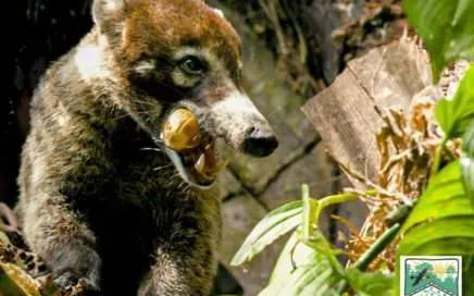 MAGAZIN - Magazine - Revista