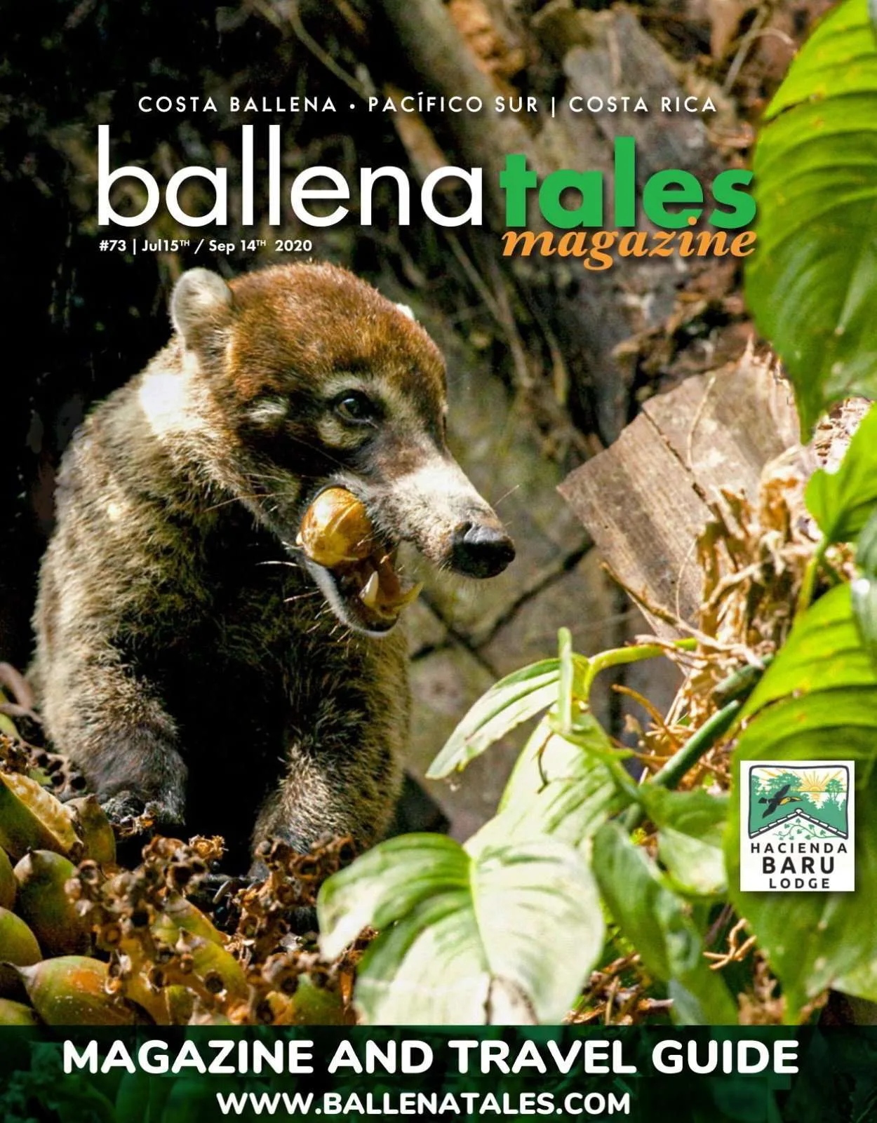 La Mejor Guía de Viajes Pacífico Sur Costa Rica #72 pajareros en Costa Rica