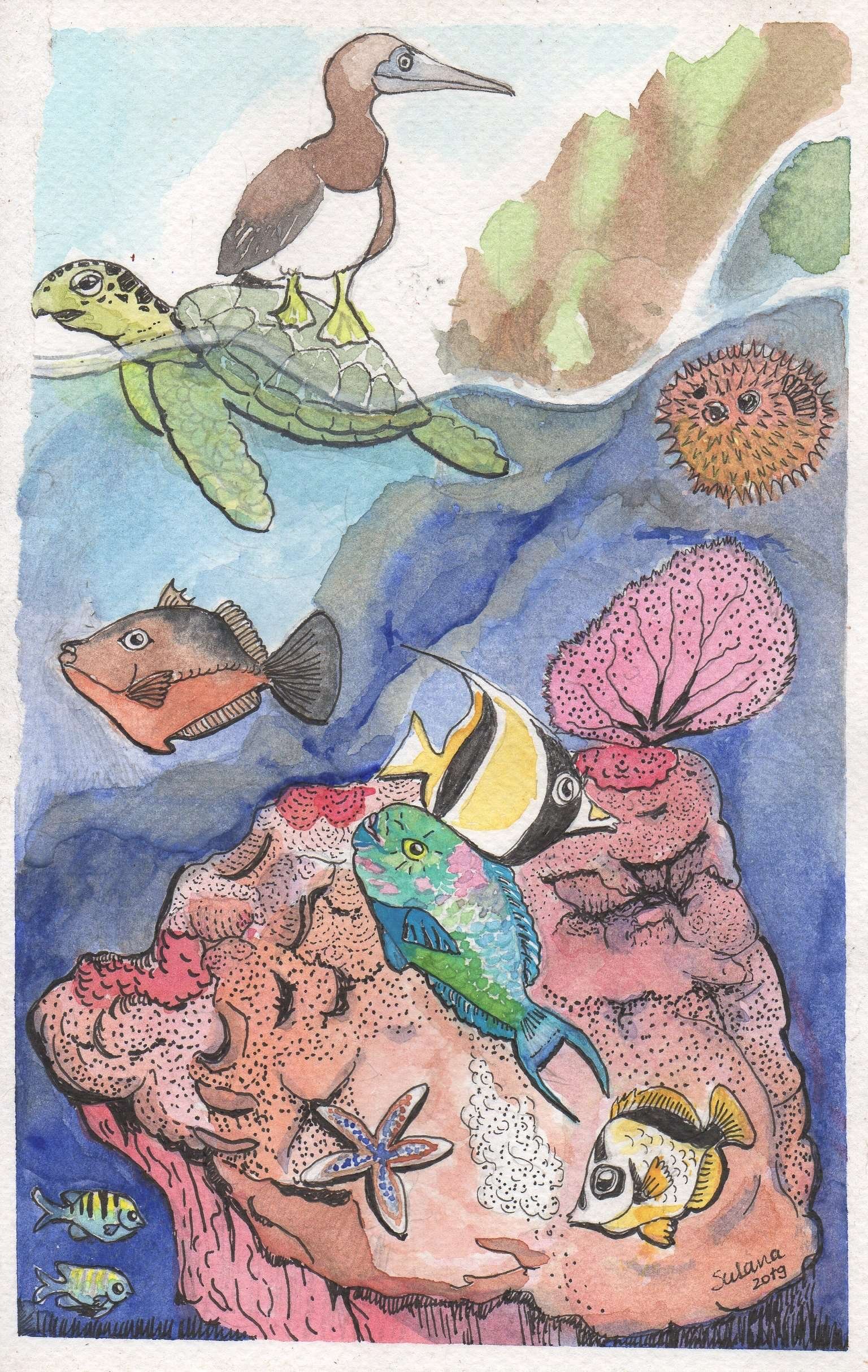 naturalistic watercolors