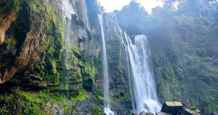 ocvsa living with the essence of nature in osa