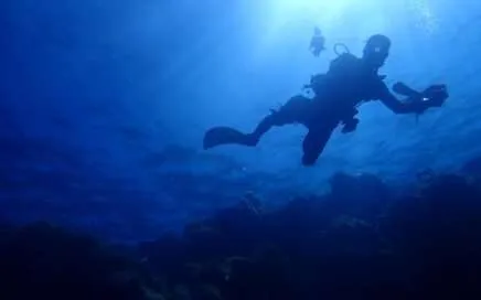 Discovering the wonderful underwater biodiversity