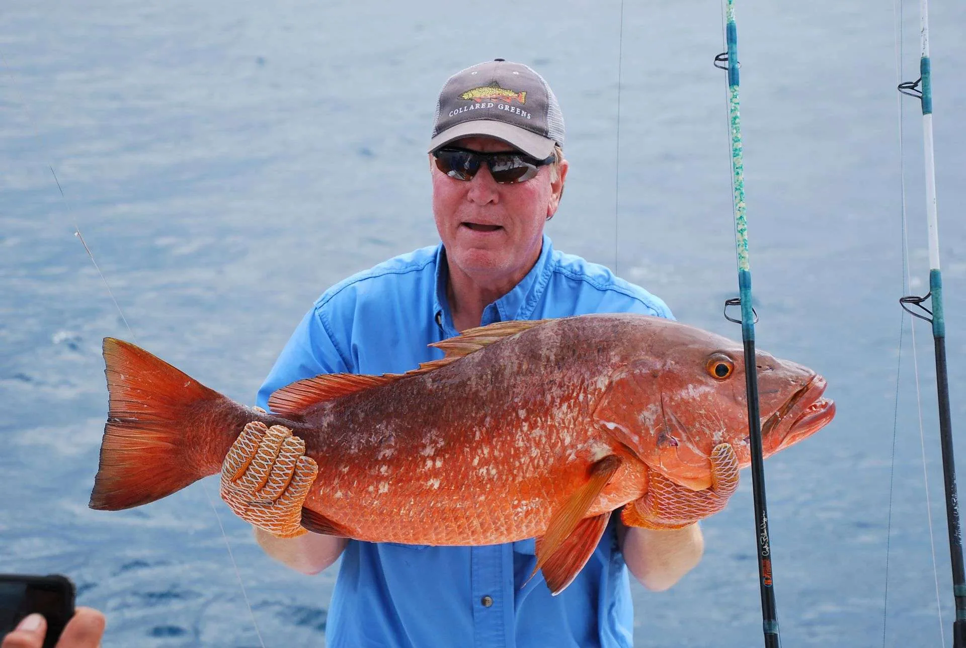 Snapper2