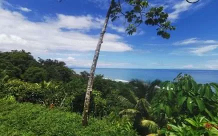 RANCHO REMO LODGE & GUSTO, Playa Hermosa