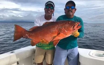 Drake Bay - Bahía Drake