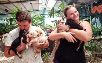 organización de rescate de perros y gatos