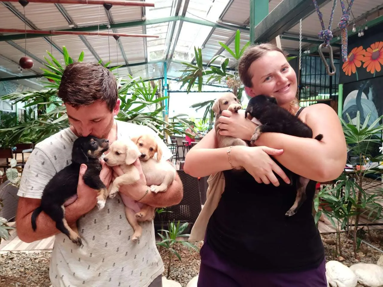 unnamed (2) organización de rescate de perros y gatos