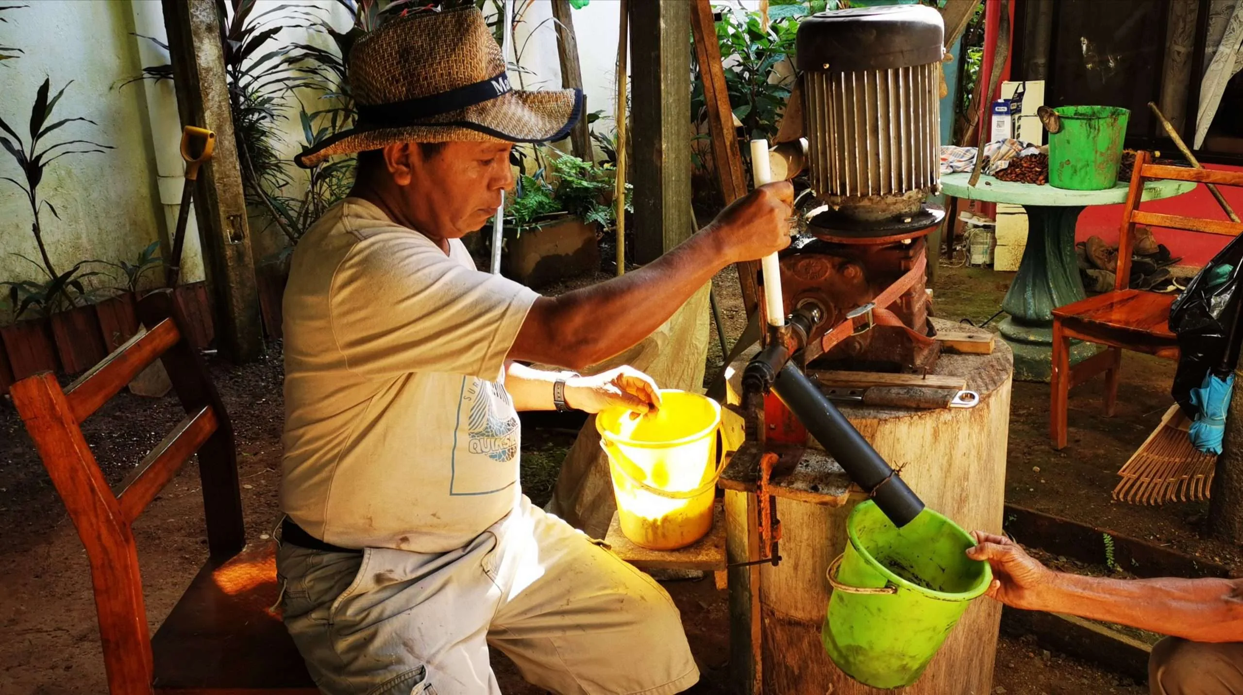 Auténtico CACAO Puro Muba