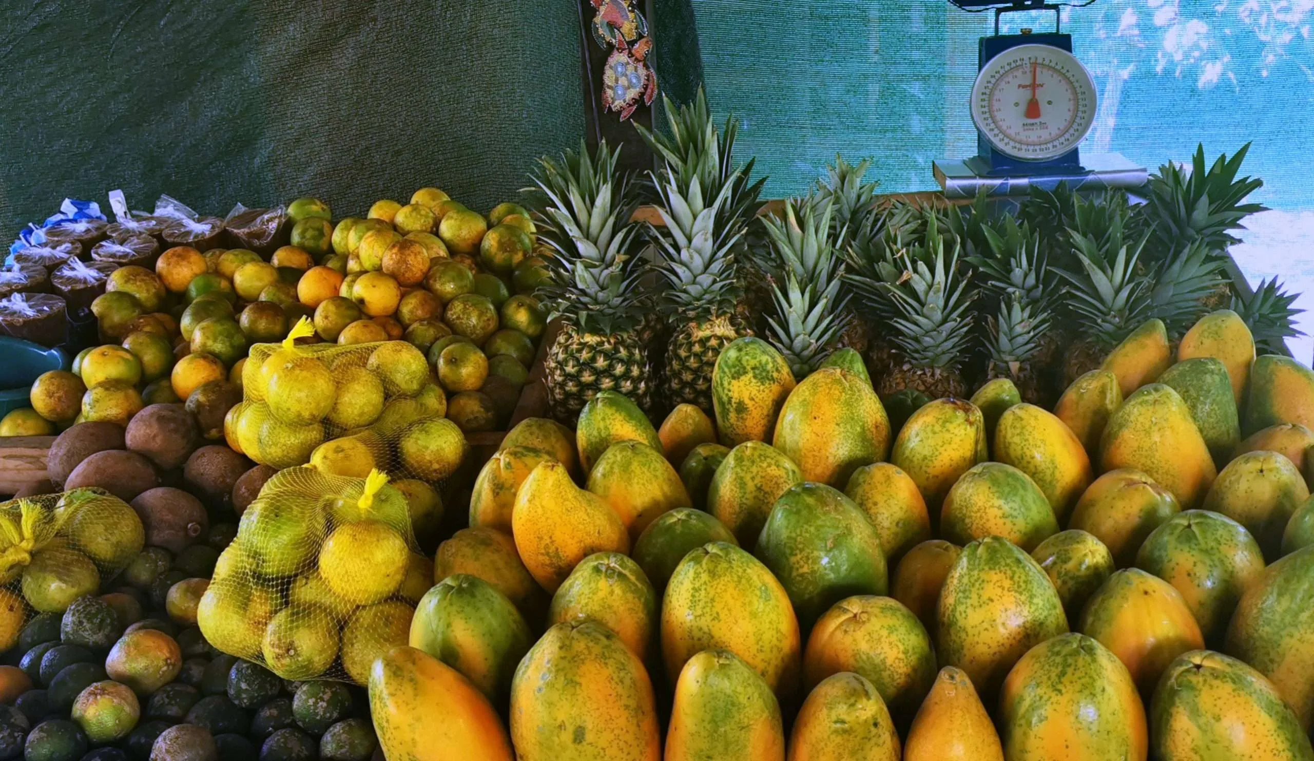 Pulseandola bonito..