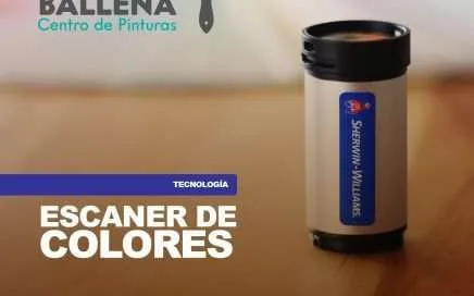 Maintenance outdoors, mantenimiento de exteriores