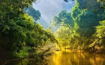 Climate, Mood and Environment - Clima, estado de ánimo y ambiente