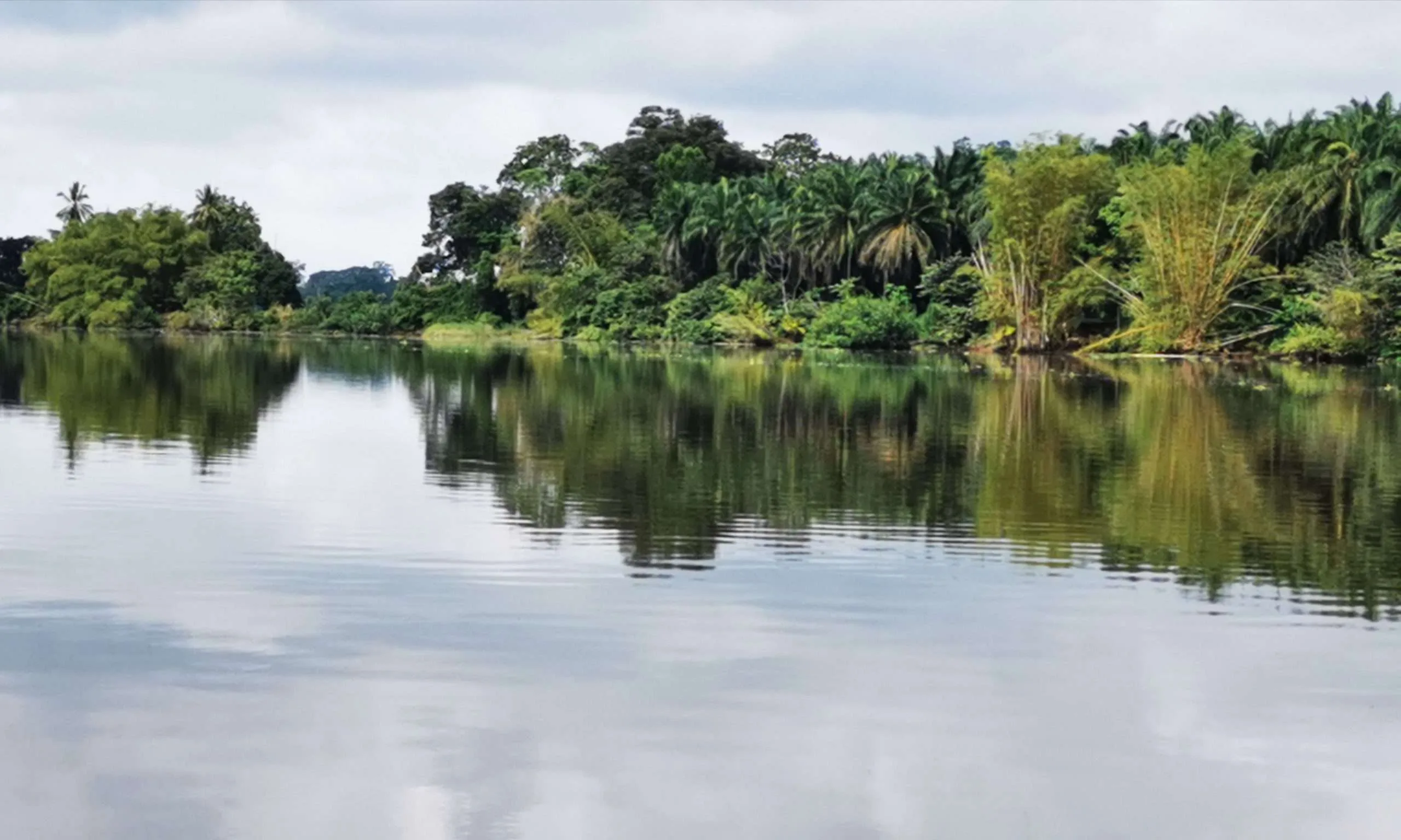 Mangroven- Auf Tour durch die Feuchtgebiete Costa Ricas
