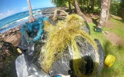 tortuga LECHUGA A TURTLE’S STORY