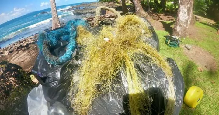 tortuga LECHUGA A TURTLE’S STORY