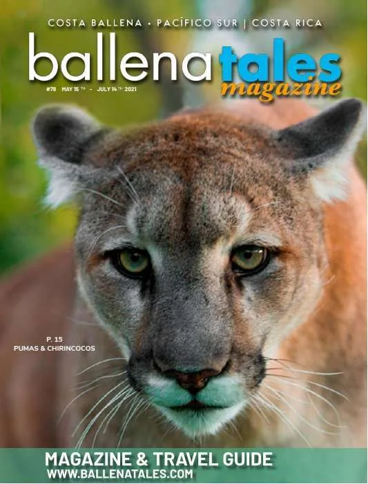 Revista Ballena Tales 78, guía para viajeros, residentes e inversionistas