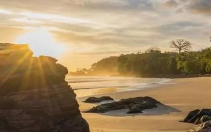 Revista Ballena Tales Comprehensive Magazine #79