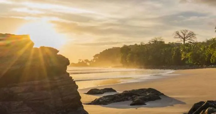 Revista Ballena Tales Comprehensive Magazine #79