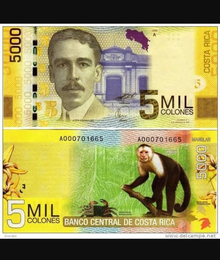 Costa Rica´s wunderschöne Banknoten- der 5000 Colones Schein