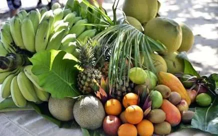fruits 1284553 340 ananas