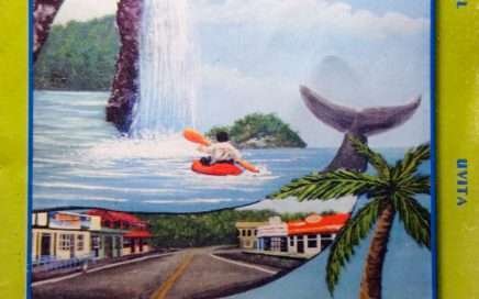 BALLENA TALES first page of Google PRIMERA PÁGINA DE GOODLE