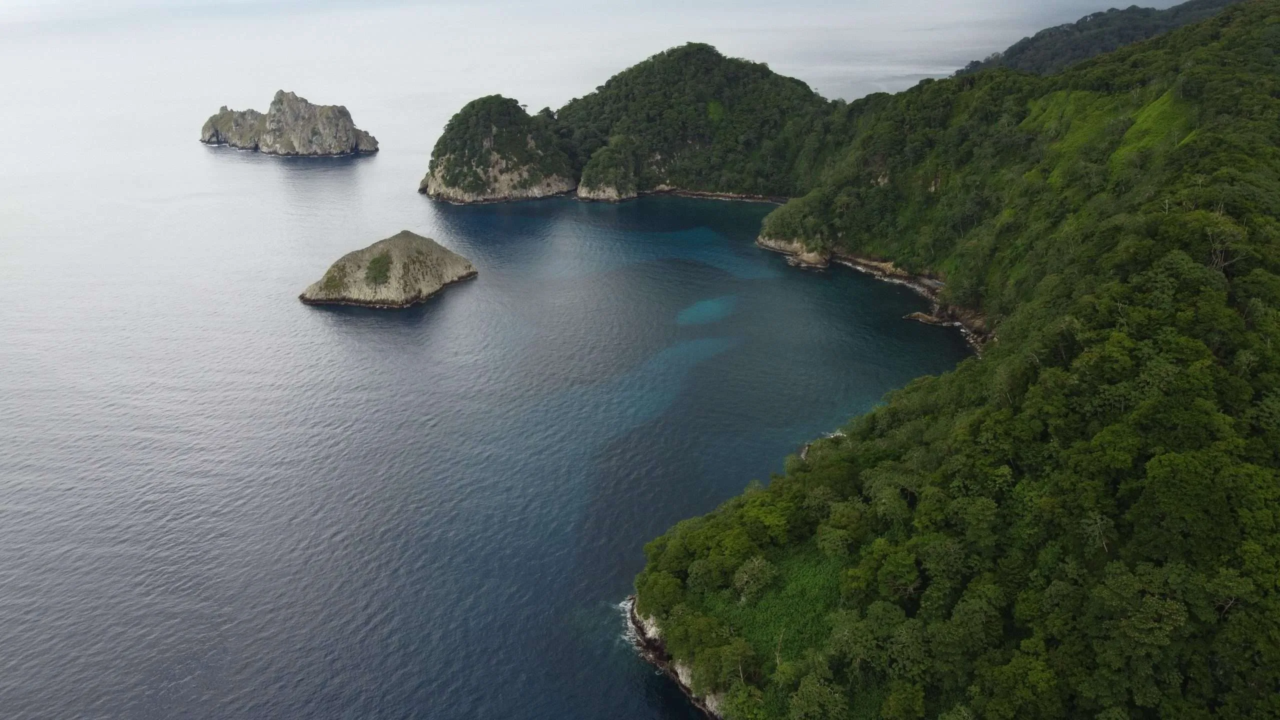 Creciendo en Real Estate  “El cielo es el límite”