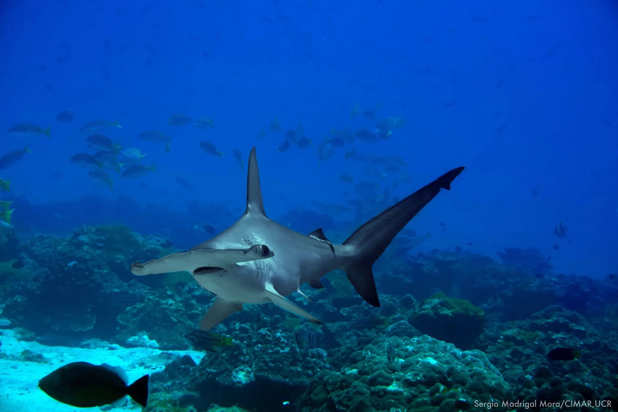 Copia de 20210324 Sergio CR 008 scaled