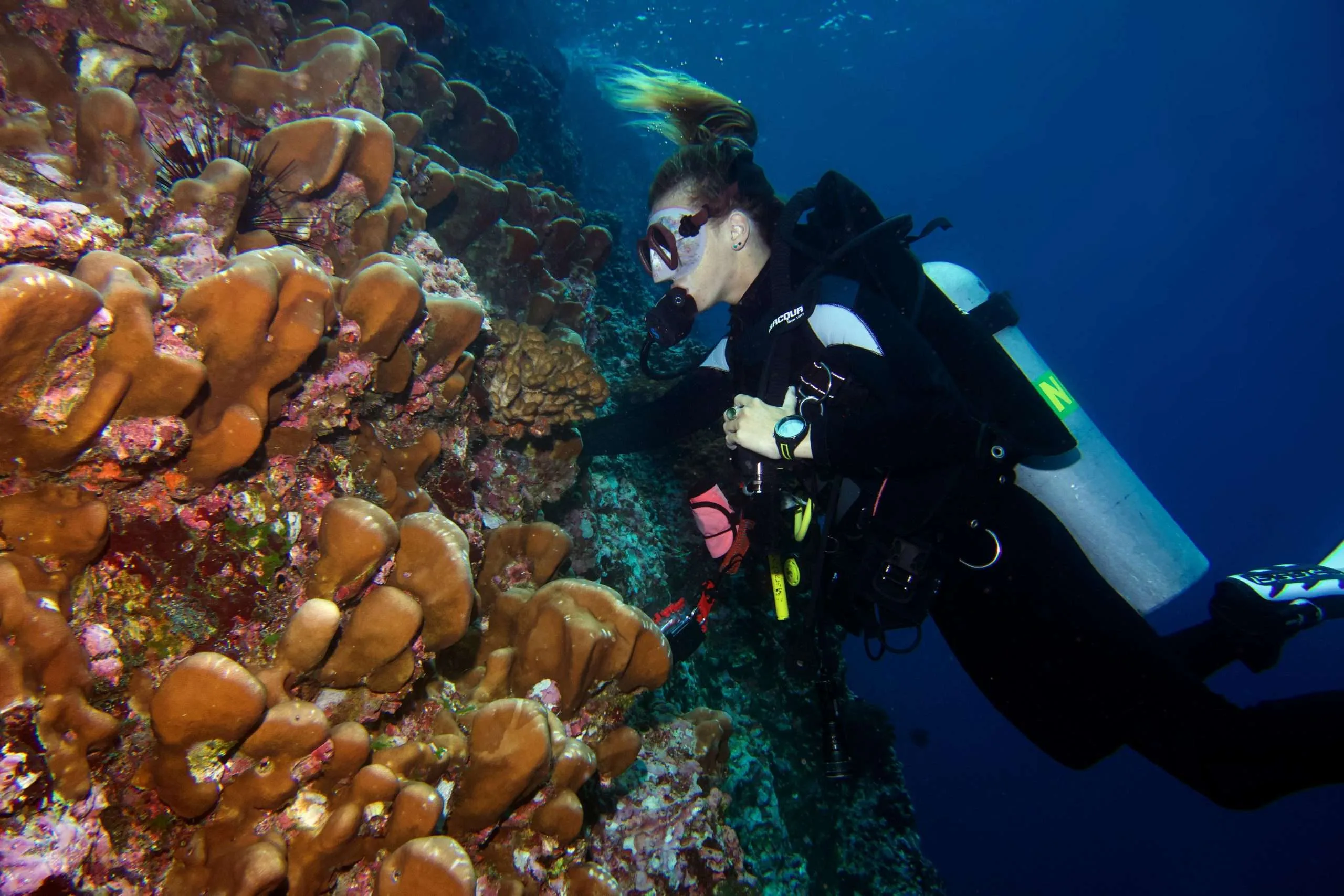 Creciendo en Real Estate  “El cielo es el límite”