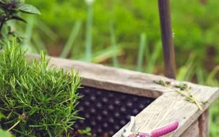 markus spiske 4iQvQ9eV7uI unsplash