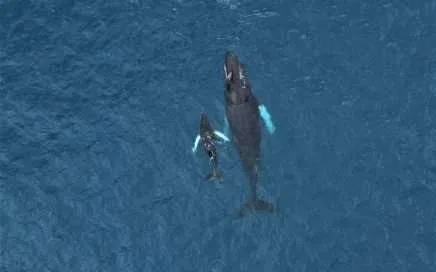 Marine Conservation and Education Center