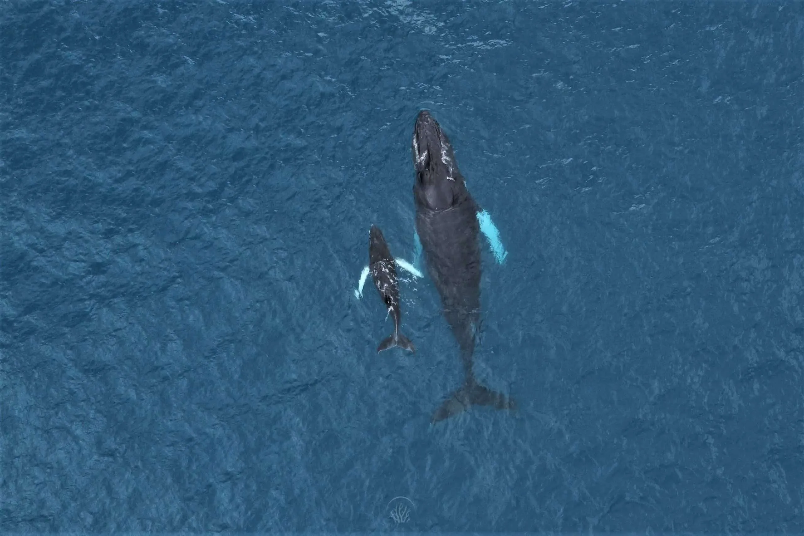 Marine Conservation and Education Center 