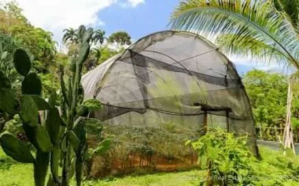 Being Your Own Village