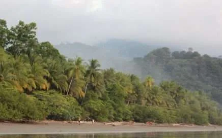 5 propósitos para el Año Nuevo