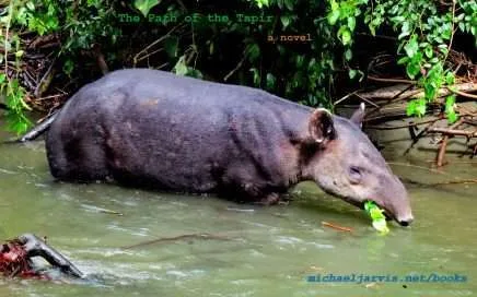 El camino del tapir