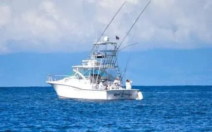 Happy New Year from Fish Drake Bay!