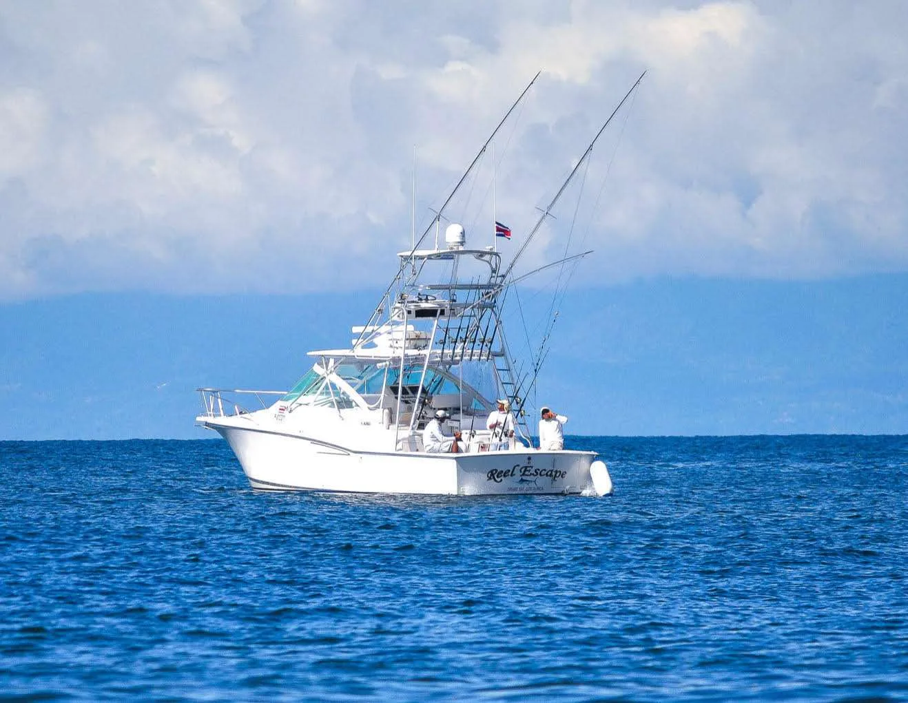 Happy New Year from Fish Drake Bay!