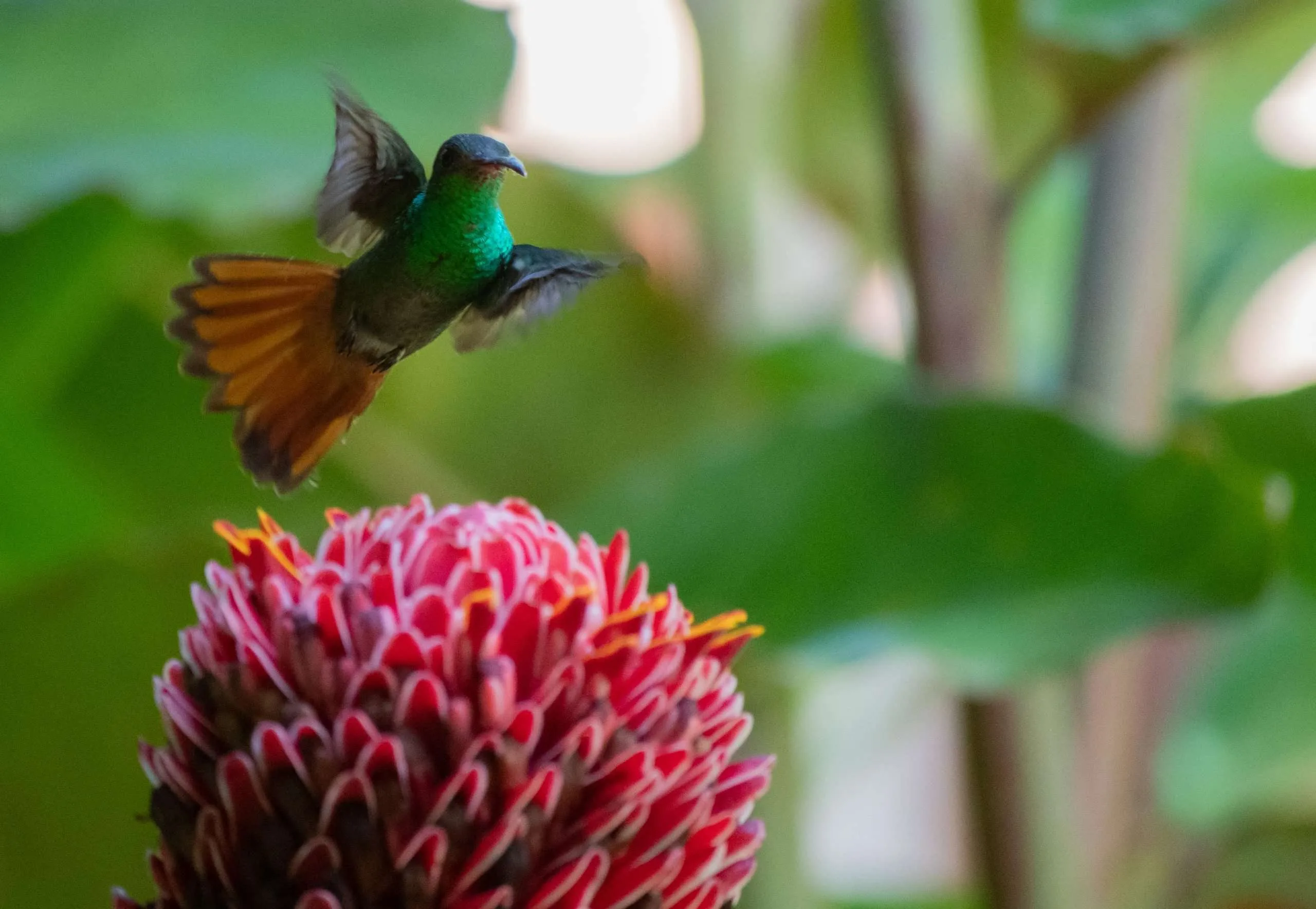 Bunte Diamanten mit Superkräften