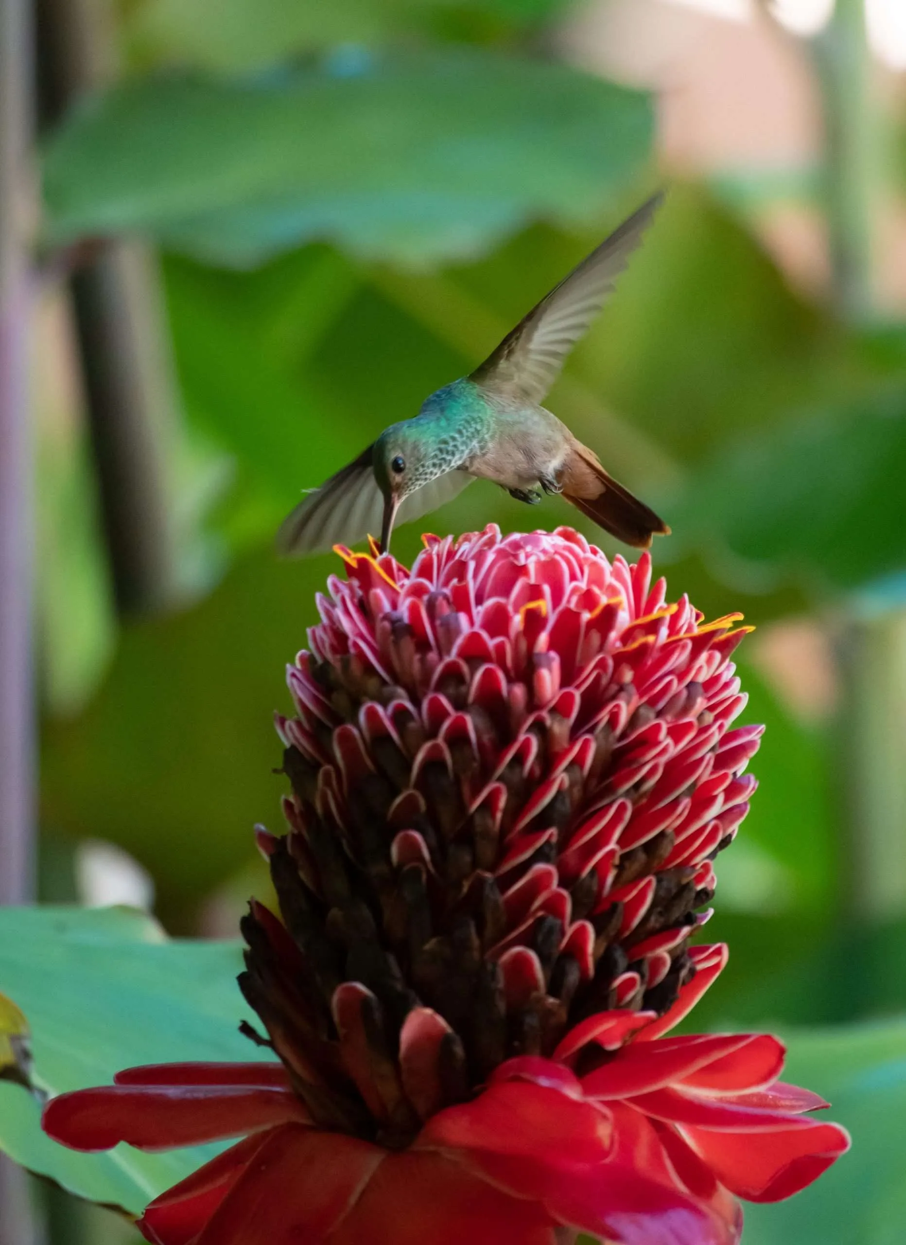 Bunte Diamanten mit Superkräften
