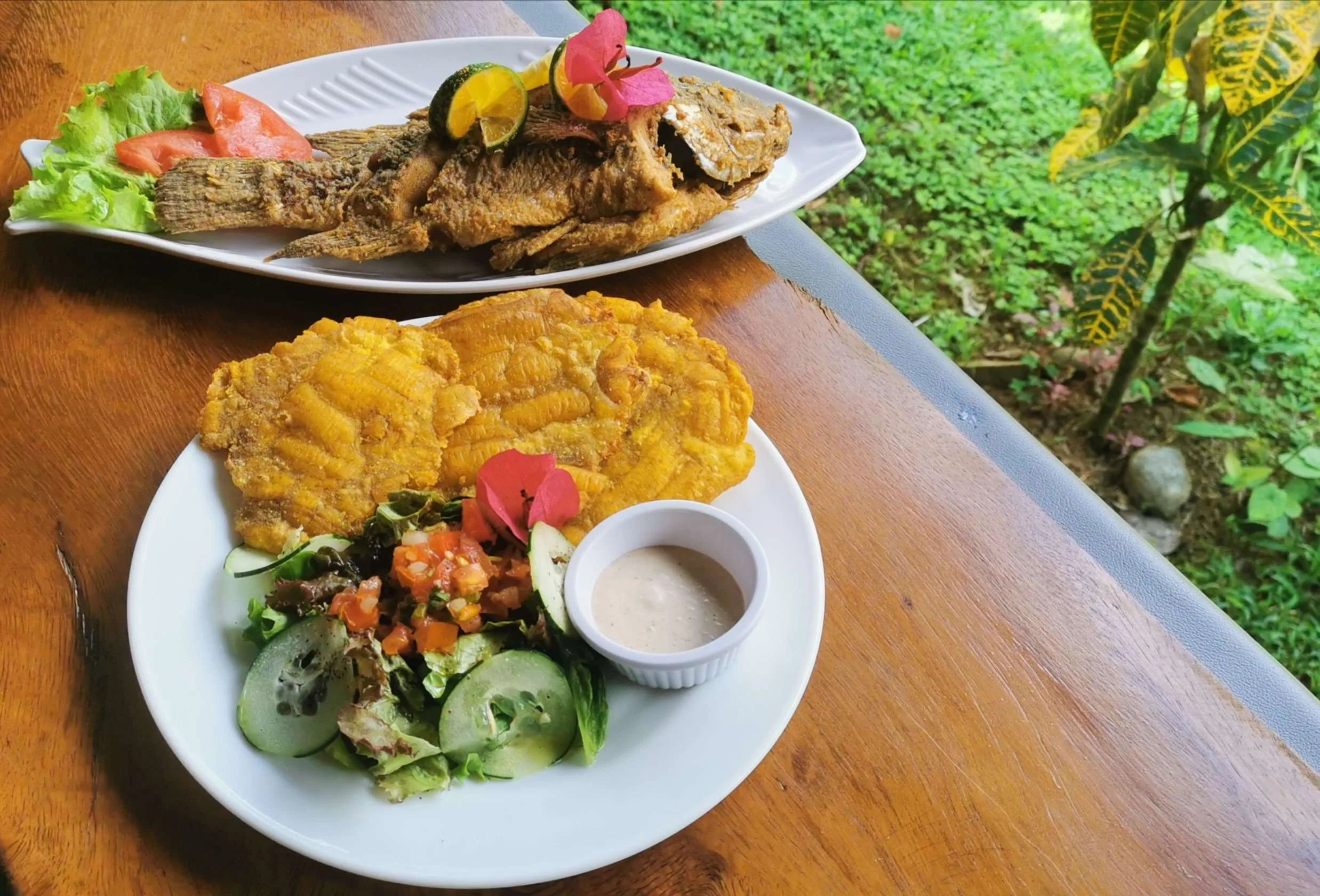 Tilapia - La Cascada: Entdecken Sie einen wahren Schatz