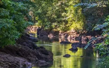 Umweltorganisation Osa Vive