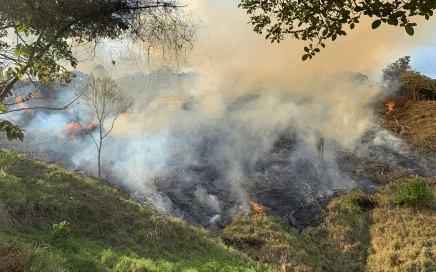 Verheerende Probleme durch brennendes Land