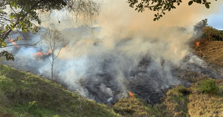 Verheerende Probleme durch brennendes Land