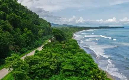 Osa Vive, protect Costa Ballena